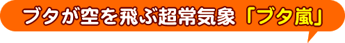 ブタが空を飛超常気象「ブタ嵐」