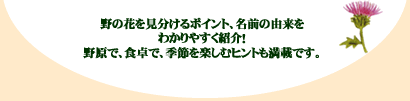 野の花を見分けるポイント、名前の由来をわかりやすく紹介！　野原で食卓で、季節を楽しむヒントも満載です。