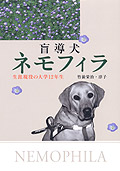 盲導犬ネモフィラ【生涯現役の大学12年生】