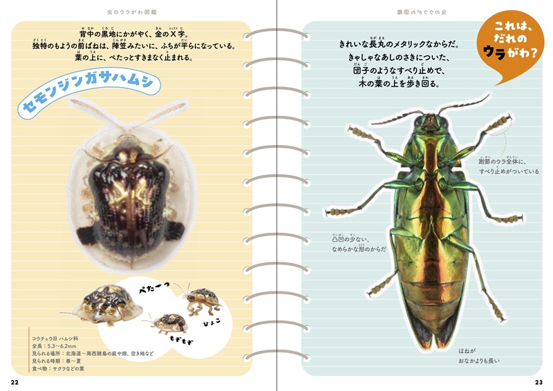 『虫のウラがわ図鑑』見開き1