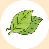 ﾁﾞｳｨ