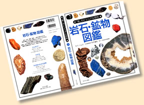 表裏