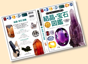 表裏
