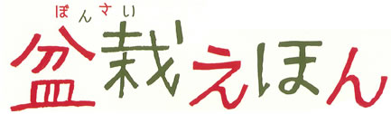 盆栽えほん