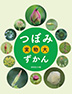 つぼみ実物大ずかん
